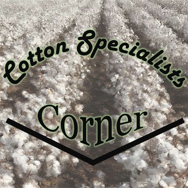 Artwork for Cotton Specialists Corner