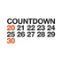Countdown 2030