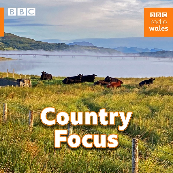 Artwork for Country Focus