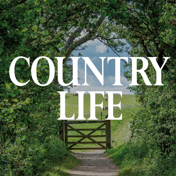Artwork for Country Life