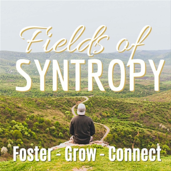 Artwork for Fields of Syntropy