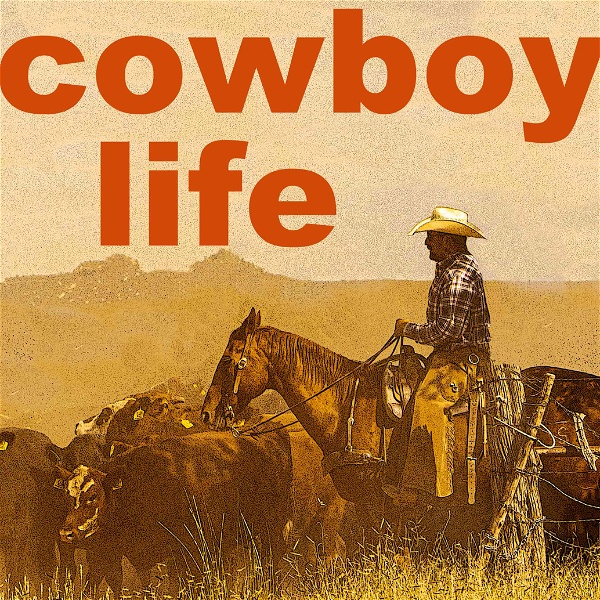 Artwork for Cowboy Life