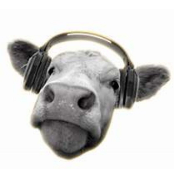 Artwork for Cows, Not Cow