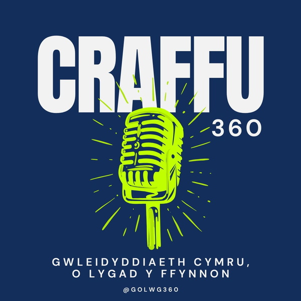 Artwork for Craffu360
