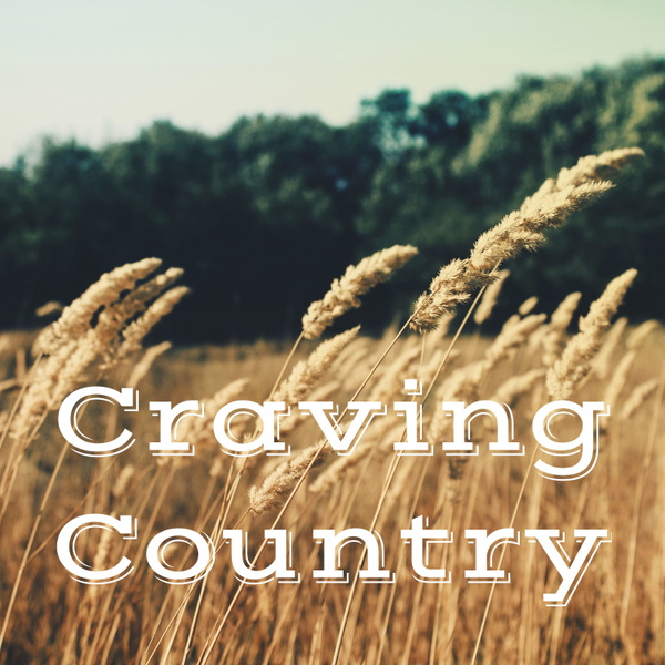 Artwork for Craving Country