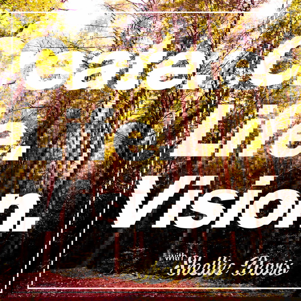 Artwork for Create.Life.Vision.