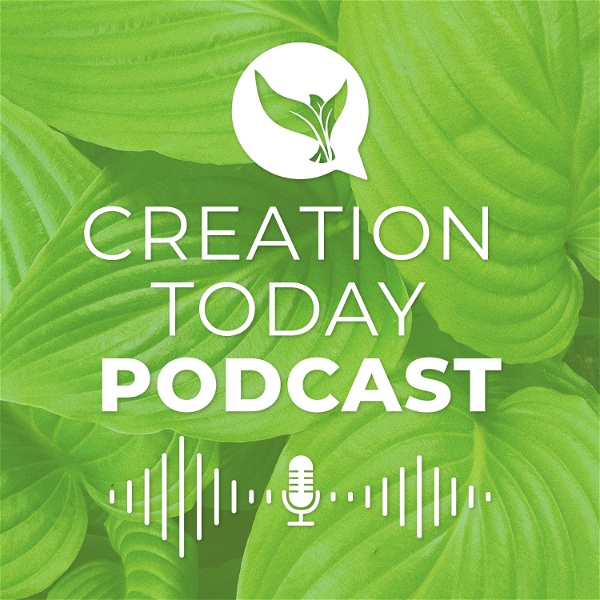 Artwork for Creation Today Podcast