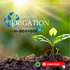 Creative Irrigation Talks