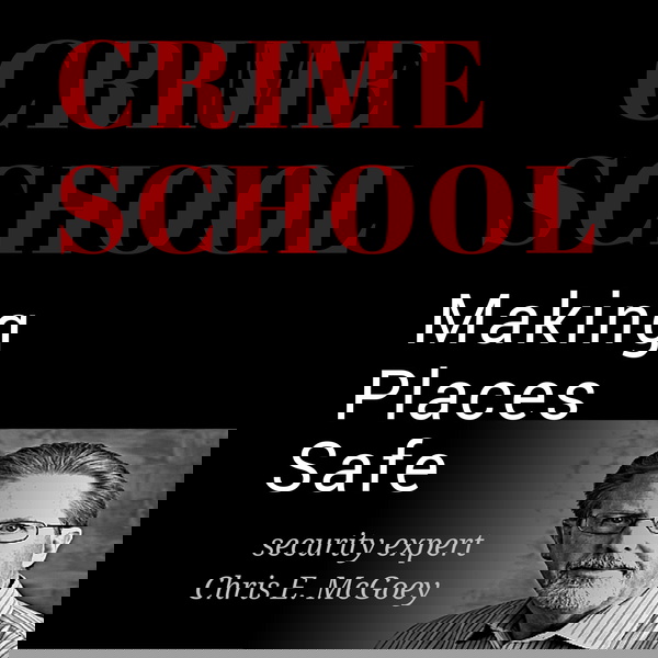 Artwork for Crime School