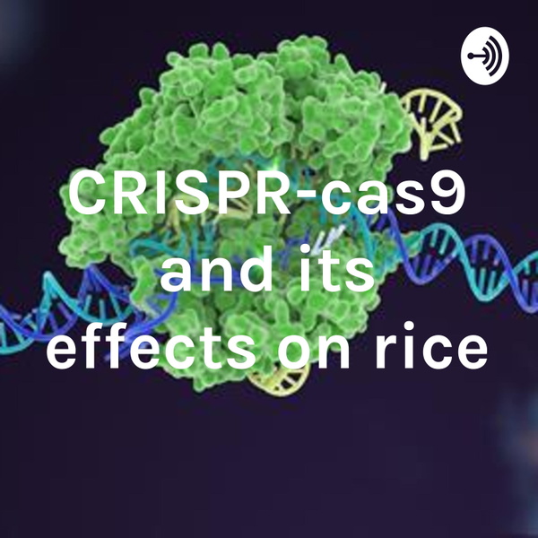Crispr Rice Listener Numbers, Contacts, Similar Podcasts - CRISPR-cas9 and its ...