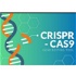 CRISPR como Herramienta De Edición Genética Y Sus Aplicaciones