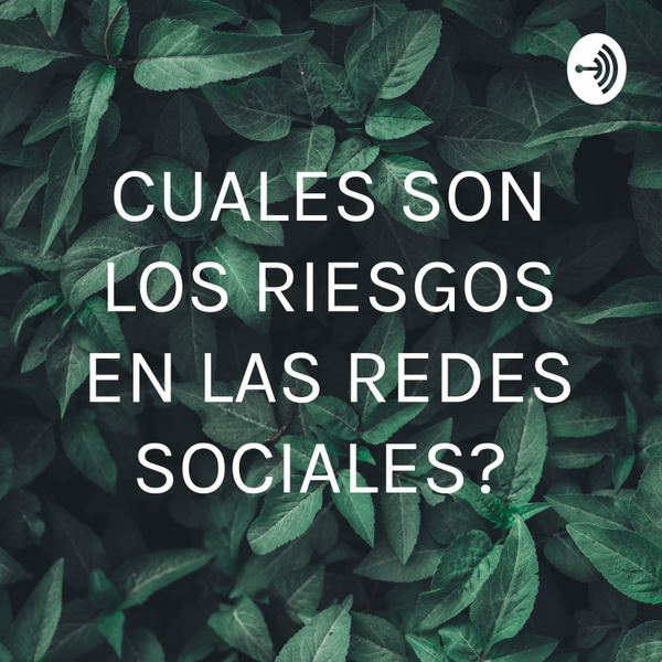 Artwork for ¿CUALES SON LOS RIESGOS EN LAS REDES SOCIALES?