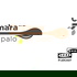 Cuchara de palo