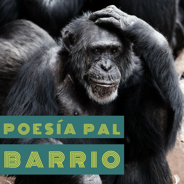Artwork for Poesía pal barrio