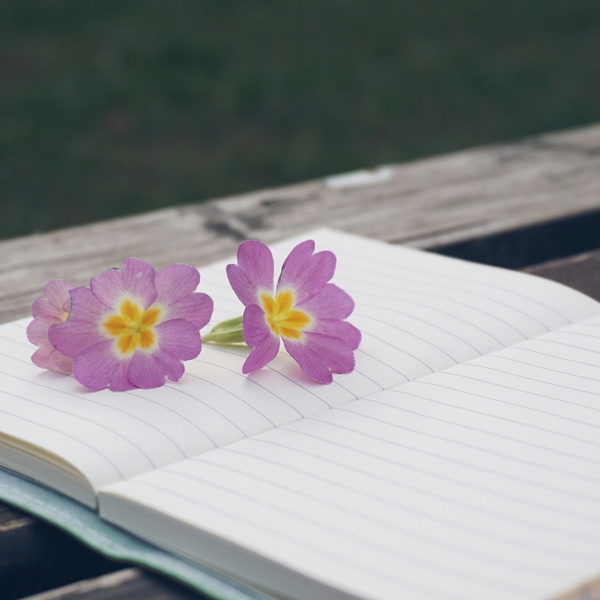 Artwork for CUENTOS INFANTILES PARA TRABAJAR LAS EMOCIONES