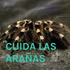 CUIDA LAS ARAÑAS