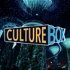 Culture Box Conversations