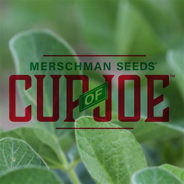 Artwork for Merschman Seeds Cup of Joe