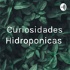 Curiosidades Hidroponicas