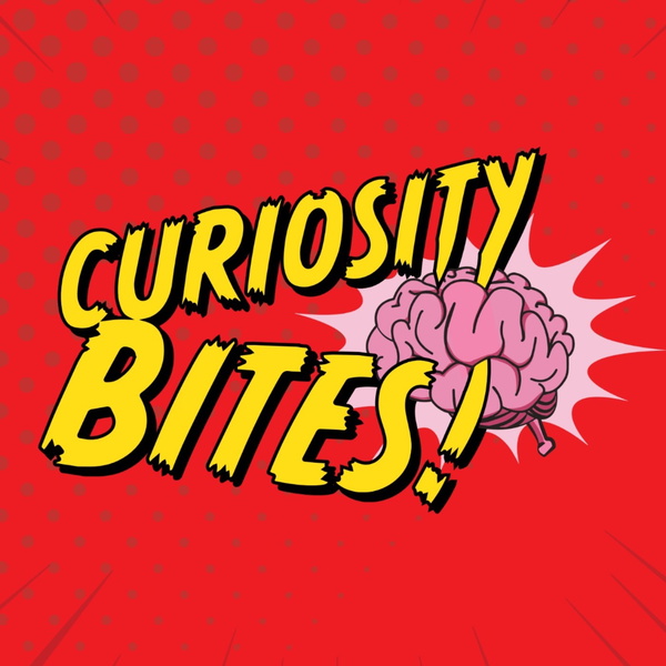 Artwork for Curiosity Bites