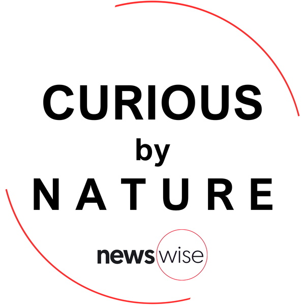 Artwork for Curious by Nature