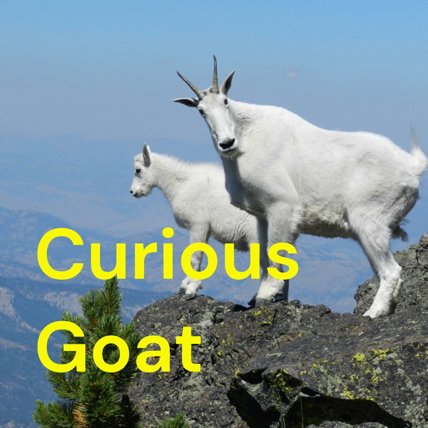 Artwork for Curious Goat