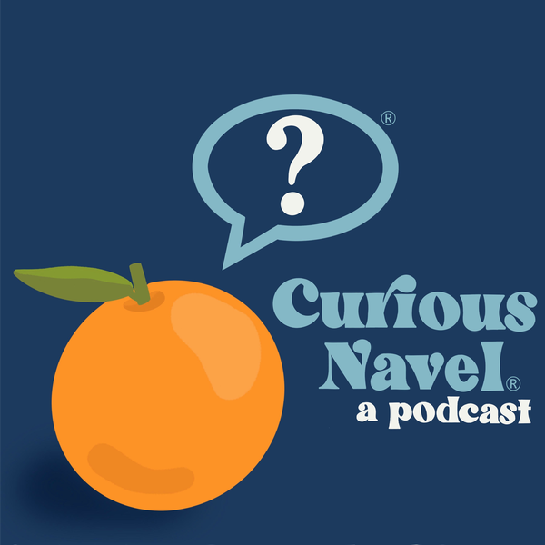 Artwork for Curious Navel