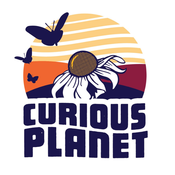 Artwork for Curious Planet
