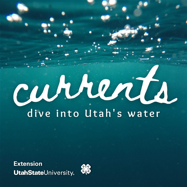 Artwork for Currents: Dive into Utah's Water