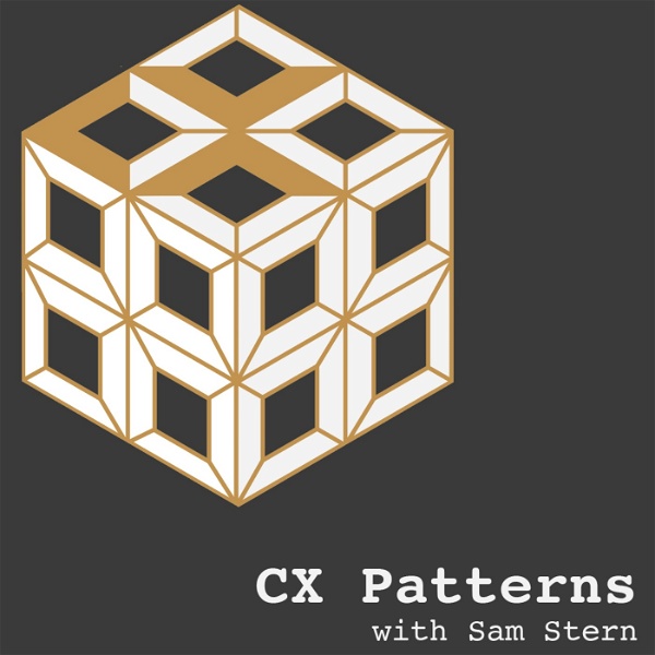 Artwork for Customer Experience Patterns Podcast