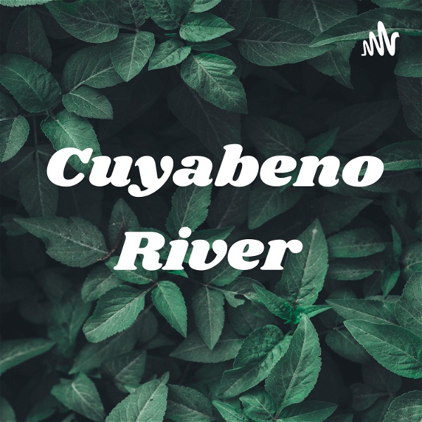 Artwork for Cuyabeno River