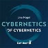 Cybernetics of Cybernetics