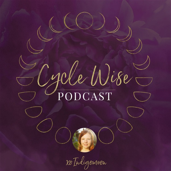 Artwork for CYCLE WISE