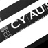 CYPRUS ACCOUNTANTS ACADEMY