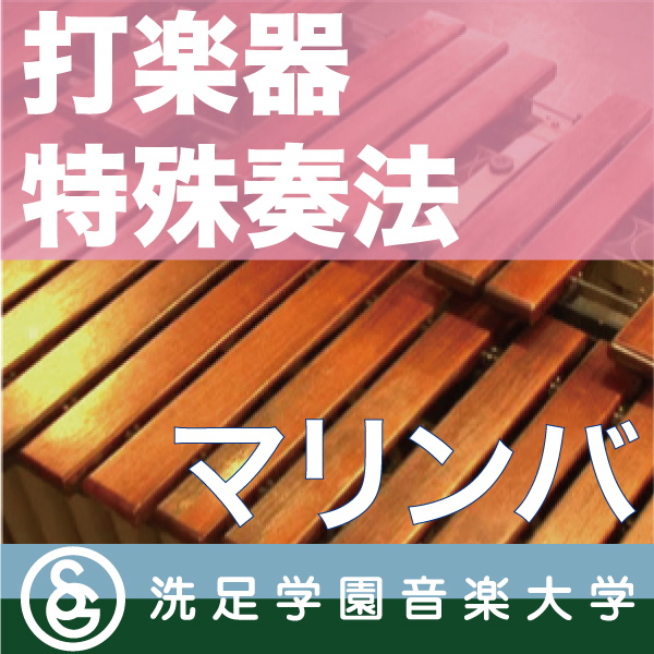 Artwork for 打楽器特殊奏法「マリンバ」