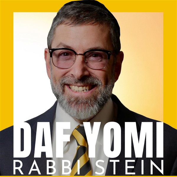 Artwork for Daf Yomi Rabbi Stein