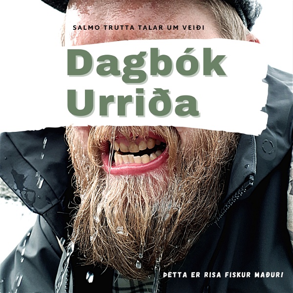 Artwork for Dagbók Urriða