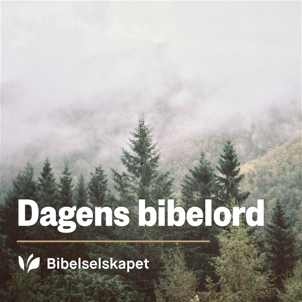 Artwork for Dagens bibelord fra bibel.no