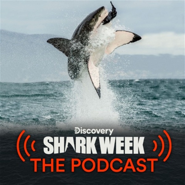 Artwork for Shark Week: The Podcast