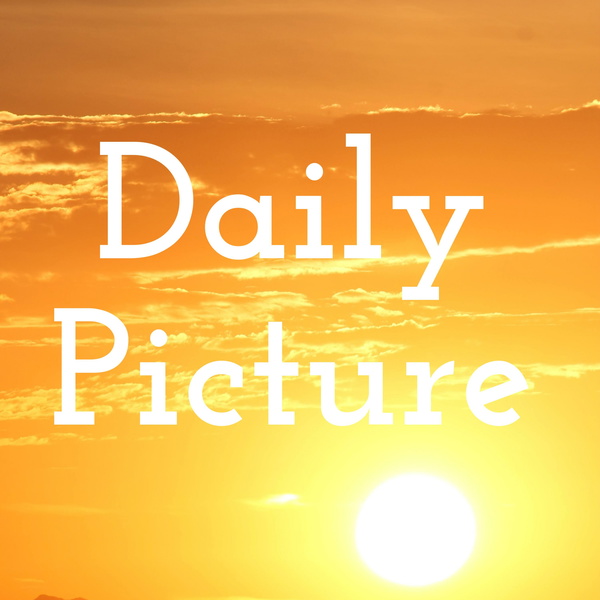 Artwork for Daily Picture