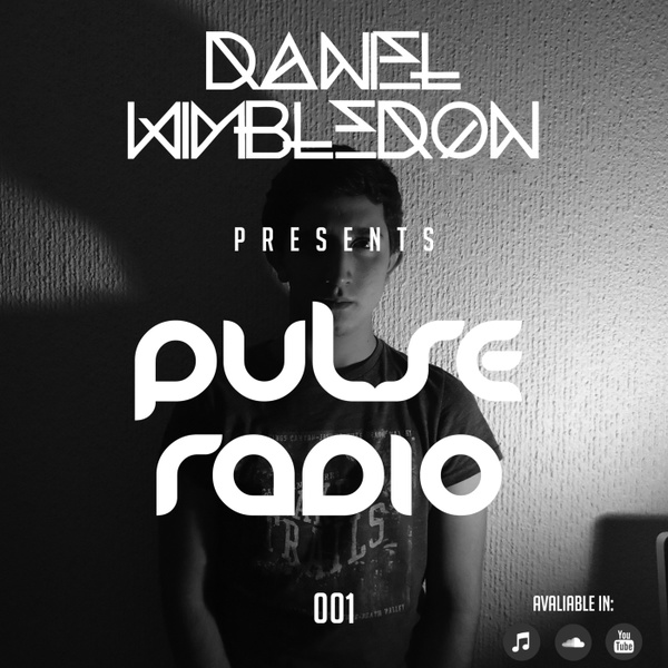 Artwork for Pulse Radio