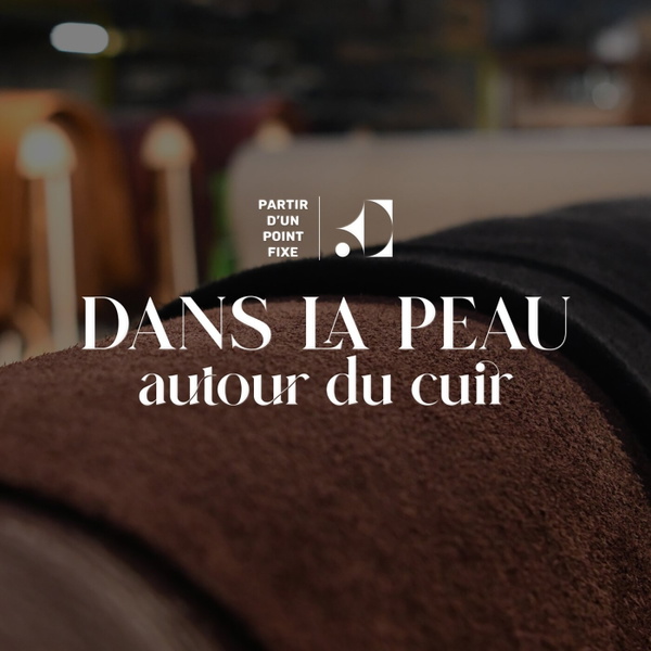 Artwork for Dans la peau