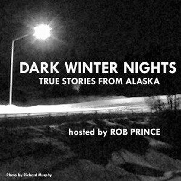 Artwork for Dark Winter Nights: True Stories from Alaska