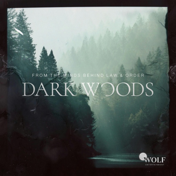 Artwork for Dark Woods