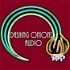 Dashing Onions Audio