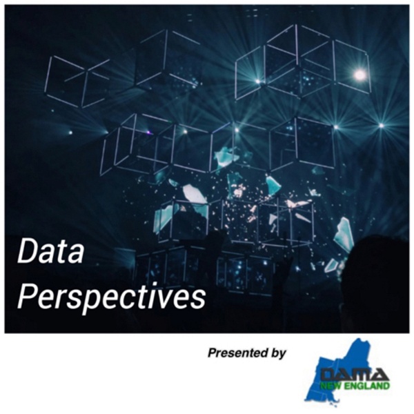 Artwork for Data Perspectives