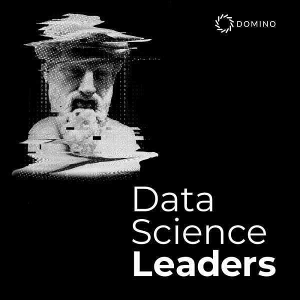 Artwork for Data Science Leaders
