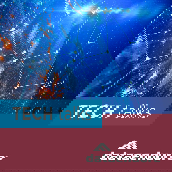 Artwork for DataEndure TECH talks