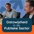 Datawijsheid in de publieke sector