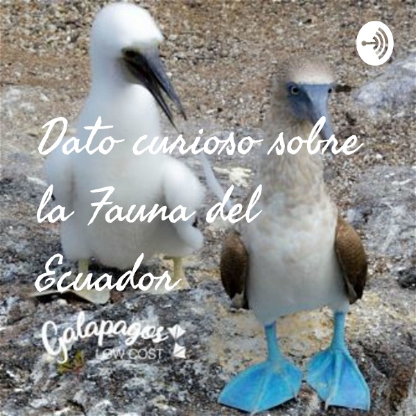 Artwork for Dato curioso sobre la Fauna del Ecuador